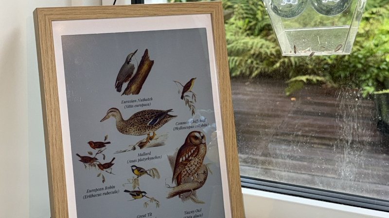 Un écran à encre électronique dessine les oiseaux présents à l’extérieur grâce à l’IA