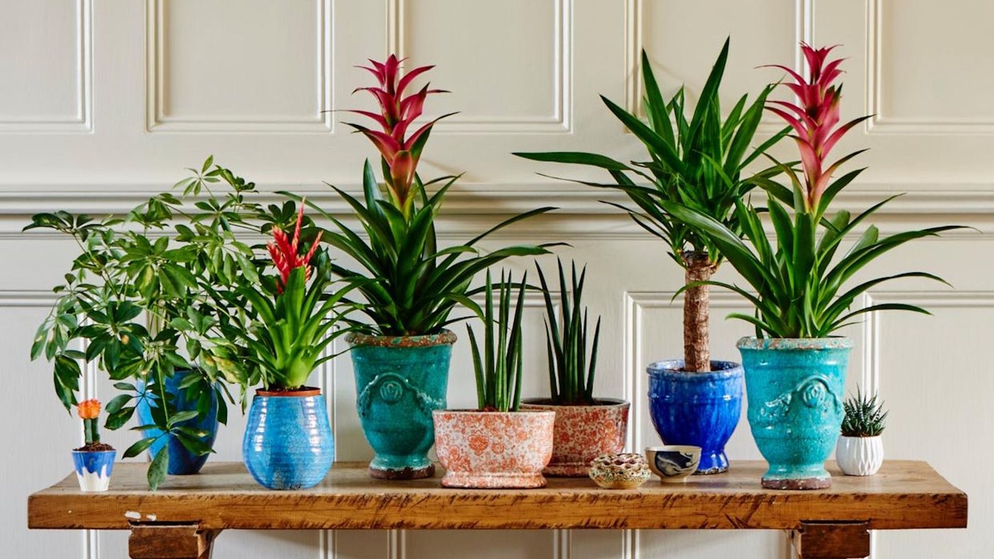 IKEA dévoile un support à plantes qui double l'espace vert, même sur un balcon