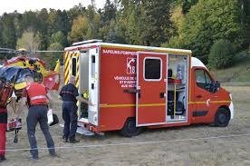 Le Hohwald : une femme de 92 ans attaquée par des chiens, treize animaux saisis