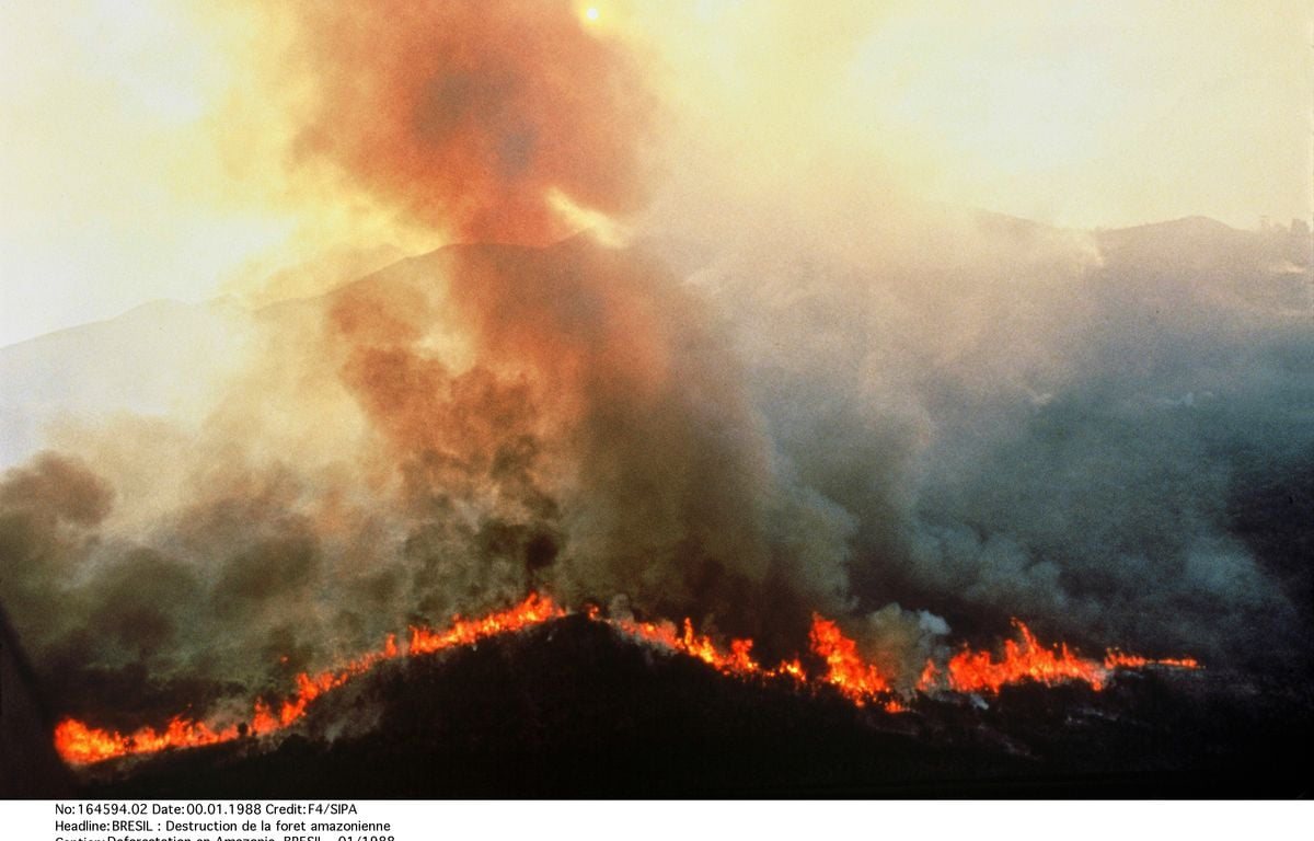 Les incendies en Amazonie brésilienne à leur plus bas niveau historique en 2025