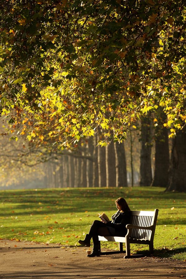 Huit romans à ne pas manquer pour la rentrée littéraire d’automne