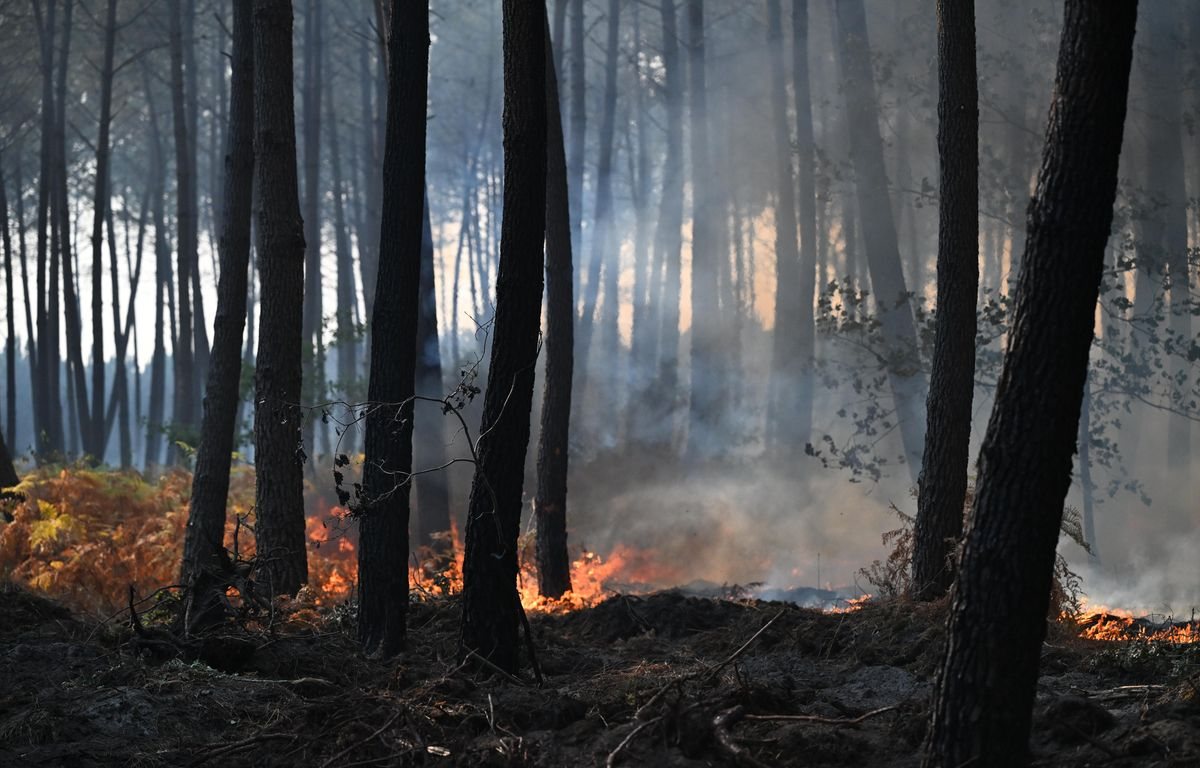 Face aux incendies, la justice durcit le ton en Gironde